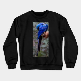 Shy blue parrot Crewneck Sweatshirt